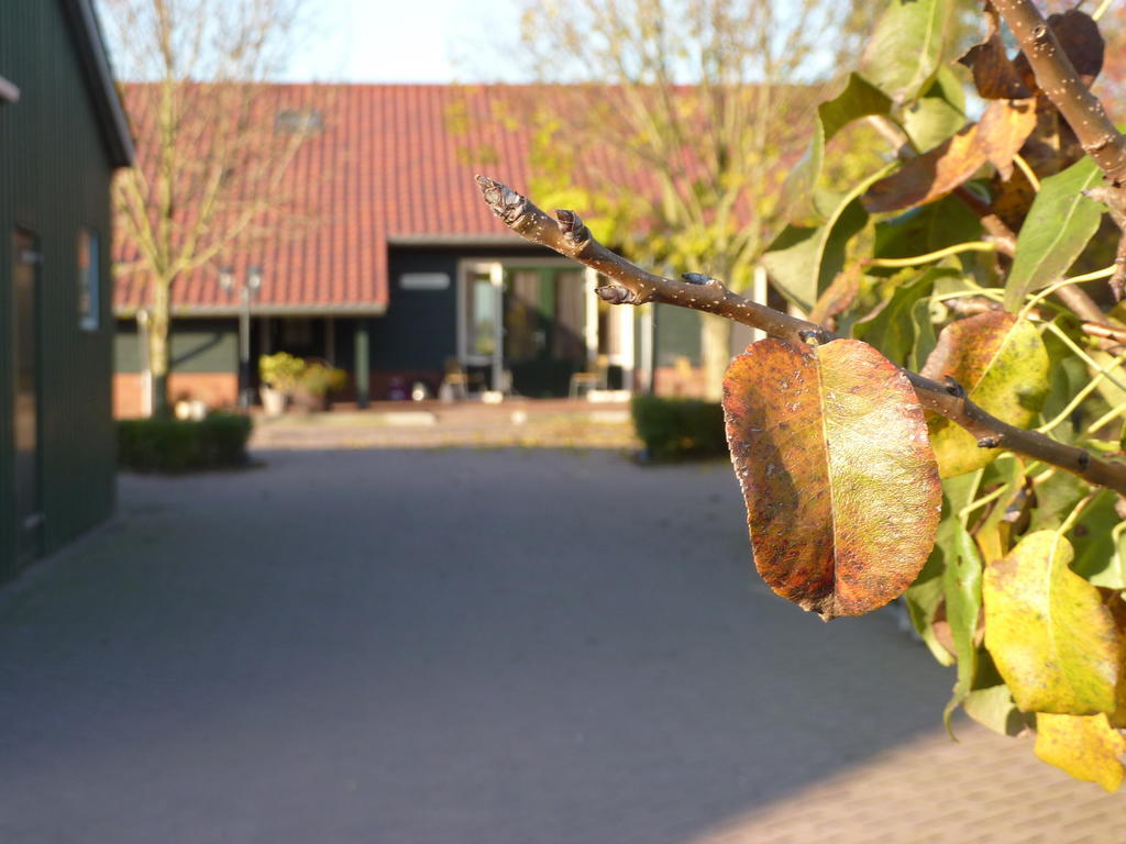 Boerderij "De Verwondering" Goudriaan Exterior photo