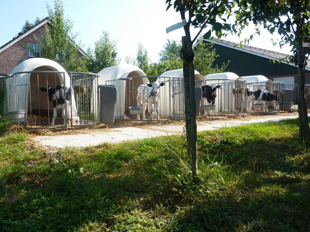Boerderij "De Verwondering" Goudriaan Exterior photo