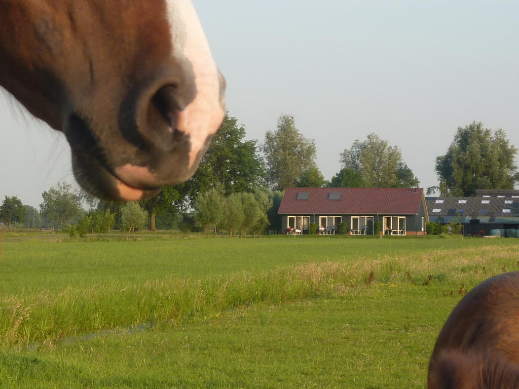 Boerderij "De Verwondering" Goudriaan Exterior photo